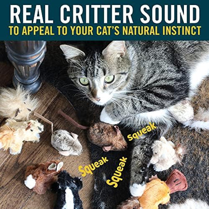 OurPets Play-N-Squeak Mouse Hunter Cat Toys with Catnip - Image 5