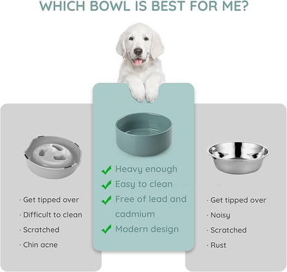 SPUNKYJUNKY 42OZ Ceramic Dog and Cat Bowl, Modern Cute Weighted Food Water Bowl for Replacement Light Green (2 Pack)