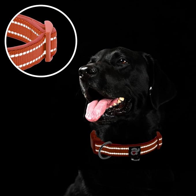 azuza Reflective Dog Collar, Soft Neoprene Padded Pet Collar with ID Tag Ring, Adjustable for Puppy and Small Dogs,Rust Red,XS