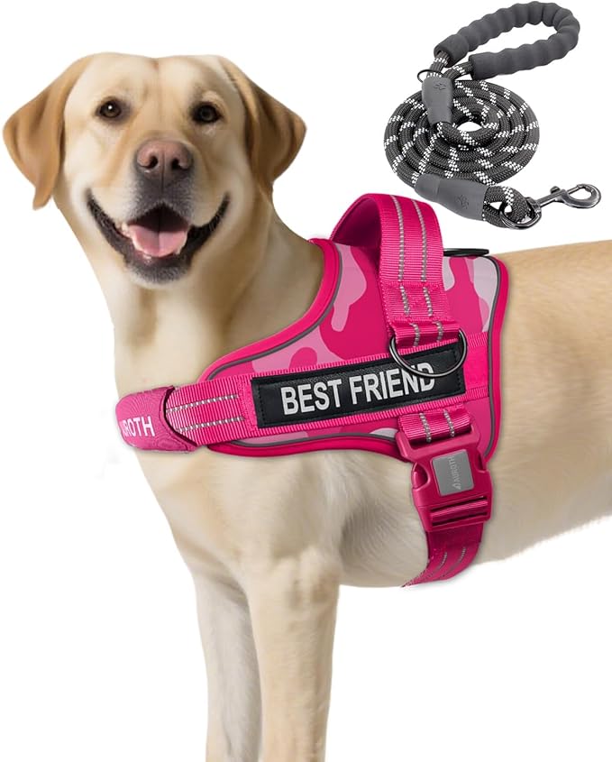 AUROTH Dog Harness and Leash Set, Soft Padded Service Dog Vest with 5.25FT Dog Leash, No Choke, Easy On Pet Vest, Adjustable Reflective No Pull Dog Harness Small Sized Dog, Easy Walking and Training