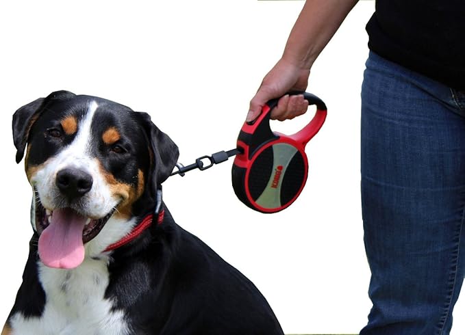 Alcott KONG Terrain Retractable Dog Leash, Small, Red, 16' Long