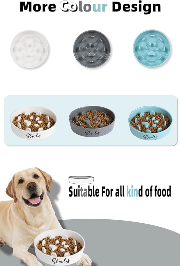 Slow Feeder Dog Bowls, Farmhouse Ceramic Fun Slow Eater Bowl for Perfect for Medium Sized Dogs Turquoise