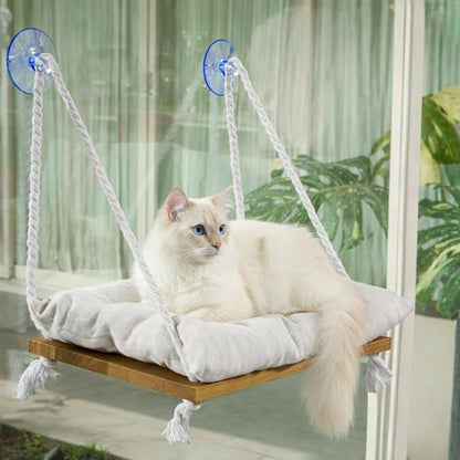 Cat Window Perch