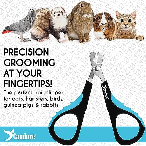 Candure Cat Nail Clipper Stainless Steel Cat Claw Trimmers for Rabbits, Guinea Pigs, Birds, Puppies, Kittens and Small Animals Pet Nail Clipper for Professional and Home Use (Blue) - Image 6