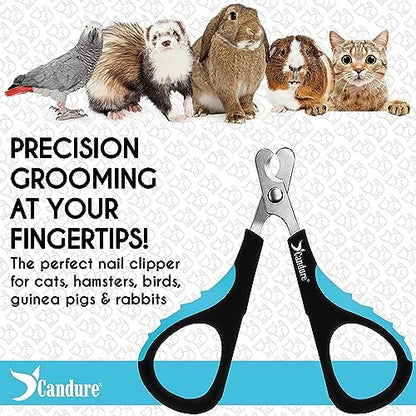 Candure Cat Nail Clipper Stainless Steel Cat Claw Trimmers for Rabbits, Guinea Pigs, Birds, Puppies, Kittens and Small Animals Pet Nail Clipper for Professional and Home Use (Blue) - Image 6