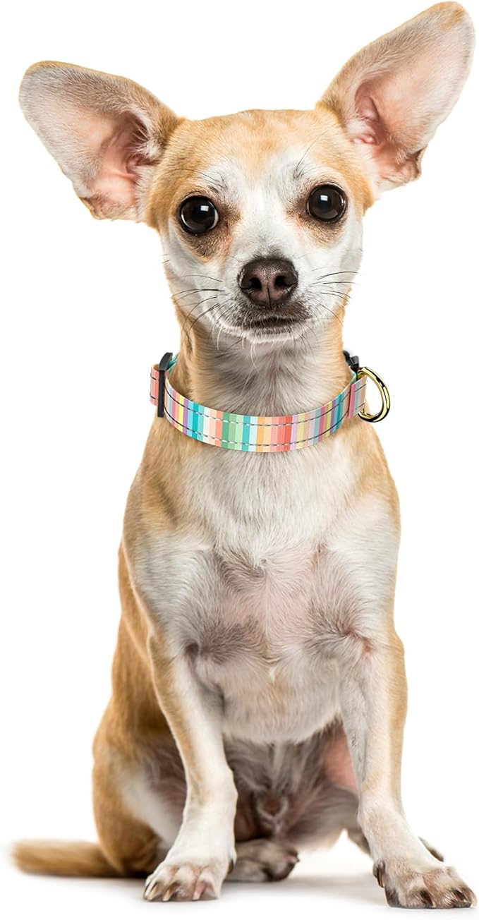 Reflective Dog Collar, Cute Dog Collar for Extra Small Dogs, Soft Nylon Puppy Collar for Boy and Girl Female Dogs, Adjustable Pet Collars with Quick Release Buckle, Colorful Watercolor Art