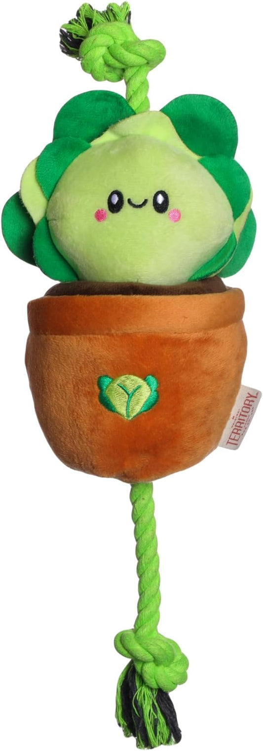 Territory Interactive Play Plush Treat-and-Tug Reward Toy for Dogs, Lettuce