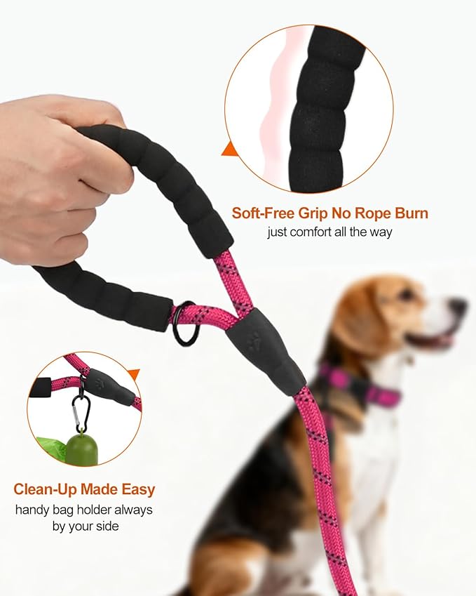 Joytale Dog Leash for Small Dogs, Heavy Duty Nylon Leashes with Comfortable Padded Handle and Highly Reflective Threads, Ideal for Walking and Training, Hotpink, 5'×3/8''