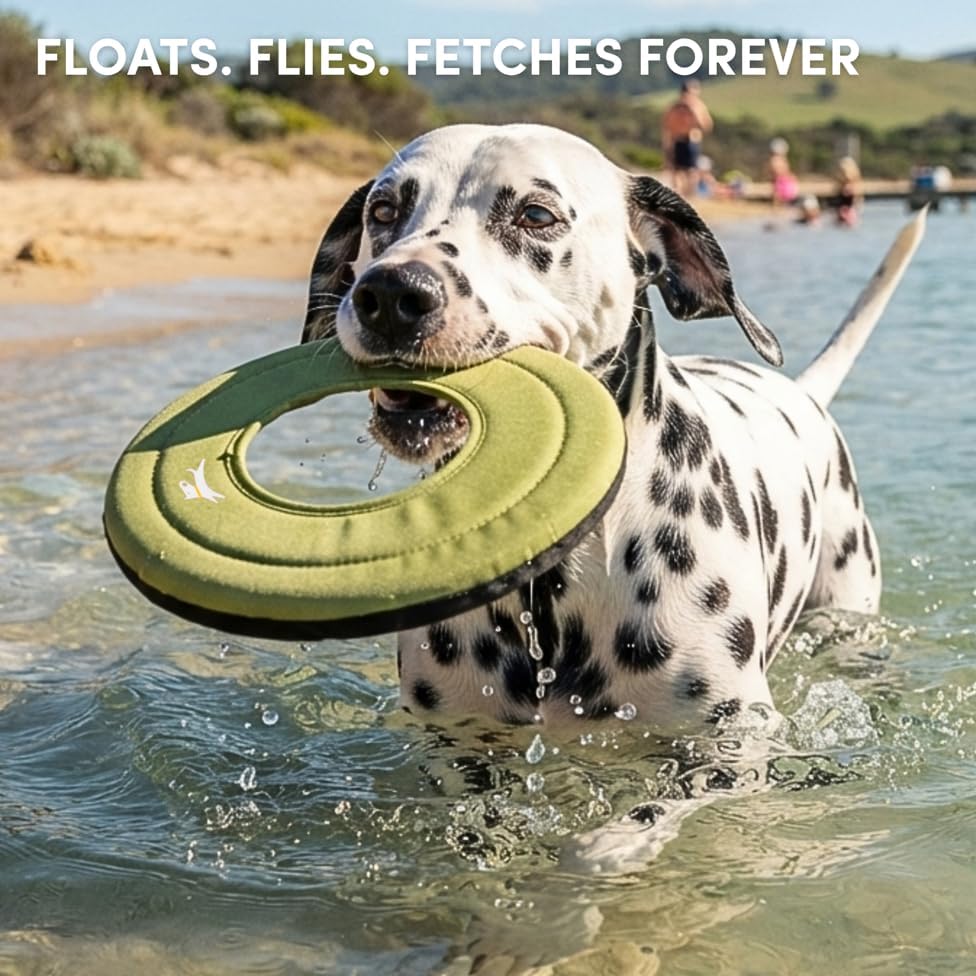 OllyDog Mini Super Flyer, Dog Flying Disc – Floating Fetch Toy, Soft on Teeth, Eco-Friendly Recycled Material, Lightweight, for Small & Medium Dogs (Palm, 9") - Image 2