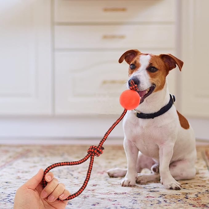 3pcs Dog Training Ball on Rope Dog Rope Toys Ball Exercise Rubber on for Pet Training Playing Chewing Reward Fetch Play
