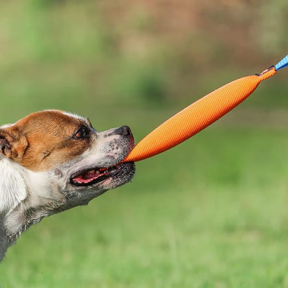 K9 Dog Bite Tug Toy with 2 Strong Handle - Made of Durable & Tear-Resistant Fire Hose - Perfect for Tug of War, Fetch & Puppy Training - Ideal Pull Toy for Medium to Large Dogs, 10 Inches