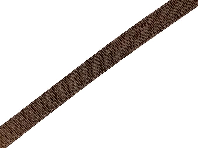 Nylon Dog Leash 8 Feet Long, Walking Training Dog Leashes for Medium Large Dogs(1" X 8 ft, Brown)