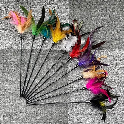 Cat Feather Wand Toys 10-Pack with Bell Indoor Kittens - Image 3
