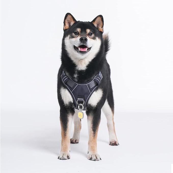 Pawaii No Pull Dog Harness with Pet ID Tag,Reflective Strips No Choke Front O Ring Breathable Mesh Adjustable Soft Padded Pet Vest with Easy Control Handle for Small Dogs