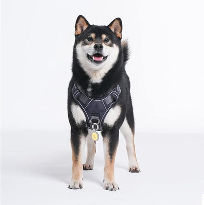 Pawaii No Pull Dog Harness with Pet ID Tag,Reflective Strips No Choke Front O Ring Breathable Mesh Adjustable Soft Padded Pet Vest with Easy Control Handle for Small Dogs