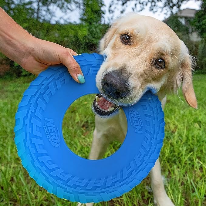 Nerf Dog Tire Flyer Outdoor Dog Toy, 10 Inch Flying Disc Dog Fetch Toy, Rubber Dog Toy for Medium Dogs and Large Dogs, Blue (Pack of 2) - Image 2