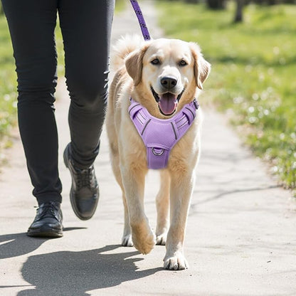 BARKBAY No Pull Dog Harness Large Reflective Dog Harness with Front Clip and Easy Control Handle for Walking Training Running with ID tag Pocket(Violet Purple,L)