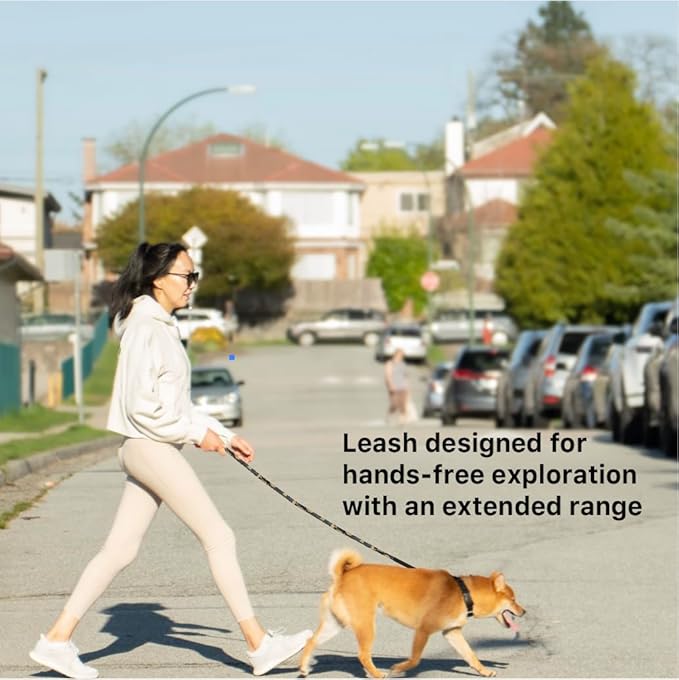 Heavy Duty Hands Free Dog Leash for Medium to Large Dogs for Comfortable Running Jogging Walking | Shock Absorbing Bungee | Soft Padded Handle | 360 Rotating Carabiner (Leash Length 6.5-7.8 ft)