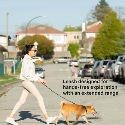 Heavy Duty Hands Free Dog Leash for Medium to Large Dogs for Comfortable Running Jogging Walking | Shock Absorbing Bungee | Soft Padded Handle | 360 Rotating Carabiner (Leash Length 6.5-7.8 ft)