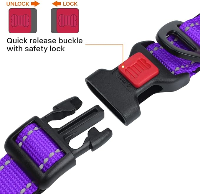Taglory Reflective Dog Collar with Safety Locking Buckle, Soft Neoprene Padded Dog Collar for Medium Dogs, Metal D-Ring, Adjustable Nylon Neck Strap for Daily Walking, Training & Running, Purple, M