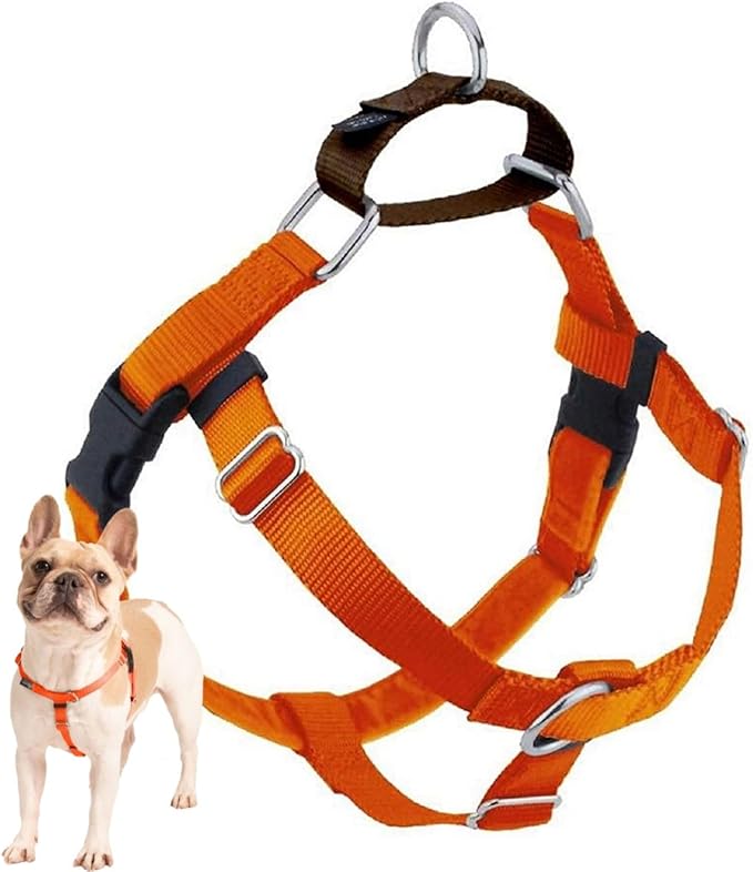 2 Hounds Design Freedom No Pull Dog Harness, Adjustable Harness, Easy Walking & Comfortable Control, Fits Small, Medium & Large Dogs, Solid Colors, Made in USA, 1" XXL, Rust