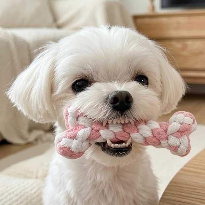 Dog Rope Toys Set with Bone-Shaped Chew Toy, Durable Cotton Rope Toys for Teething, Training, and Interactive Play for Small to Medium Dogs (Pink & White)