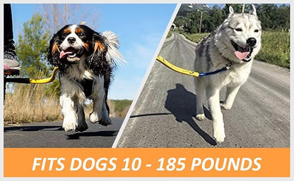Bike Tow Leash Best Dog Bike Leash (Orange)