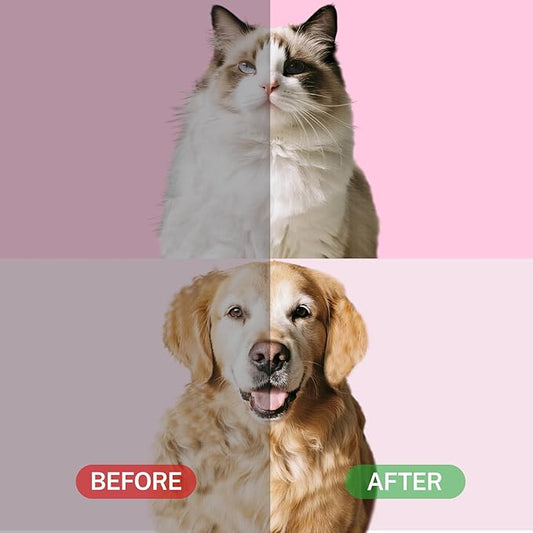 Pet Steam Brush for Cats, 4 in 1 Cat Brush for Long Haired Cats Kittens Dogs for Shedding Grooming Massage Self Cleaning (White Grey)