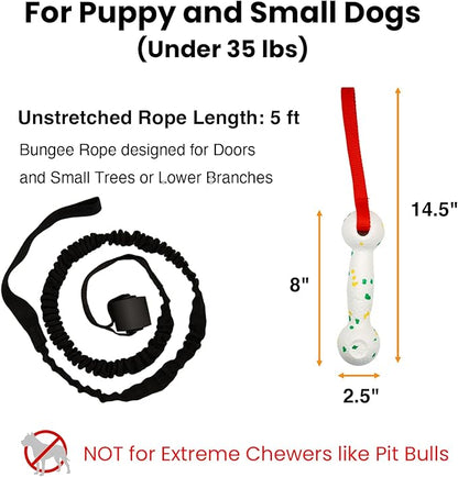 Hanging Dog Bungee Tug Toy for Puppy Small Dogs Chase, Indoor Spring Pole Over Door, Outdoor Tree Tether Tug, Interactive Pull Rope Toy for Self Play Exercise & Training