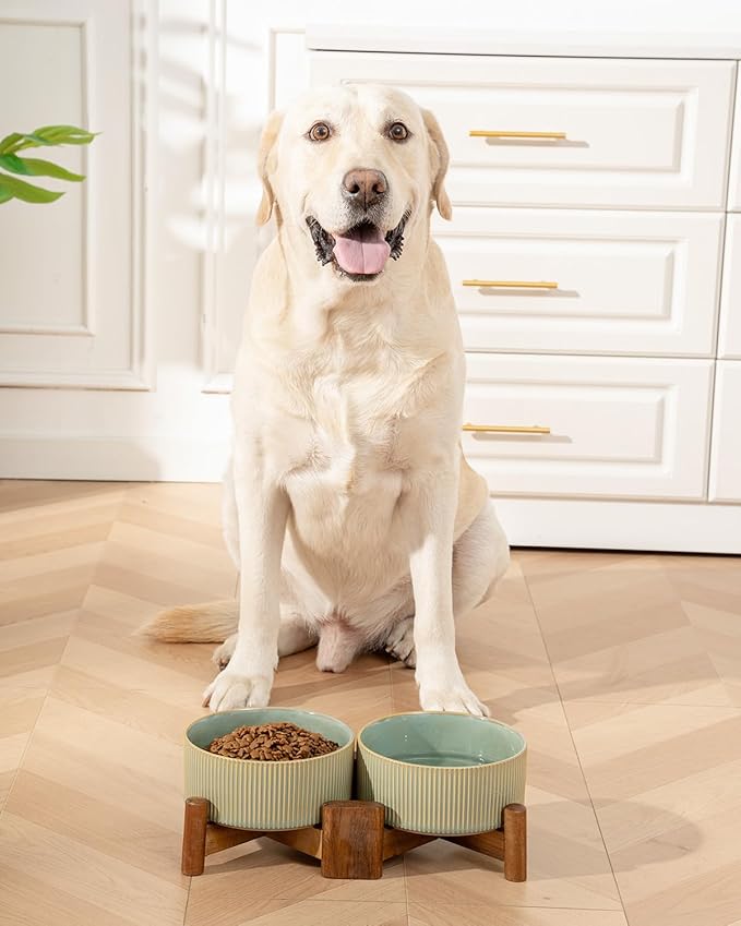 Getstar Ceramic Dog Bowls Set with Acacia Wood Stand, 3.5 Cups Pet Bowls Set of 2 for Medium Dogs, Cute Dog Food Bowl, Cat Bowls