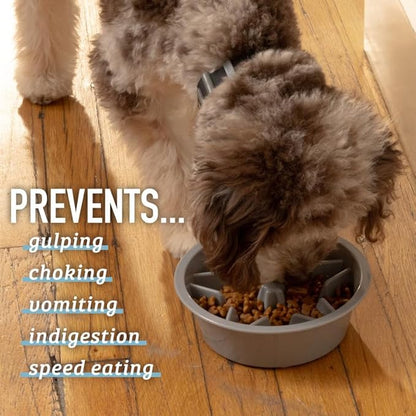 Leash Boss Slow Feeder Dog Bowls (1.5 Cup) Puzzle Dog Food Bowl with Feeder Holes, Fits into Elevated Pet Feeders, Slow Eating for Large, Medium & Small Sized Breeds - Blue