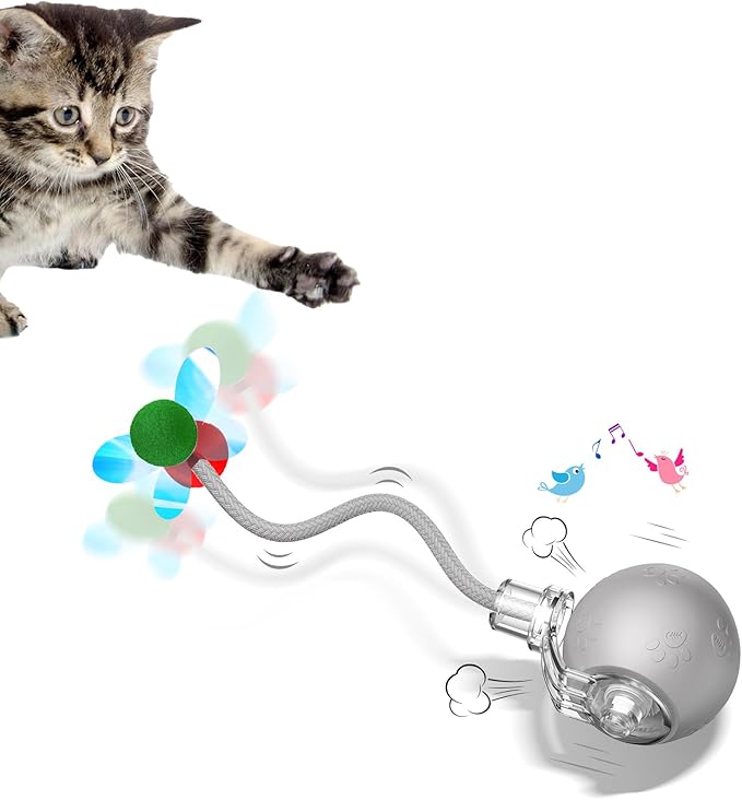 Interactive Cat & Dog Ball Toys - Cat Toys for Indoor Cats with Speedy Tail 2.0, Dog Toy Ball & Cat Toys, Motion-Activated, USB Rechargeable Birthday Gift for Cats and Dogs (Grey)