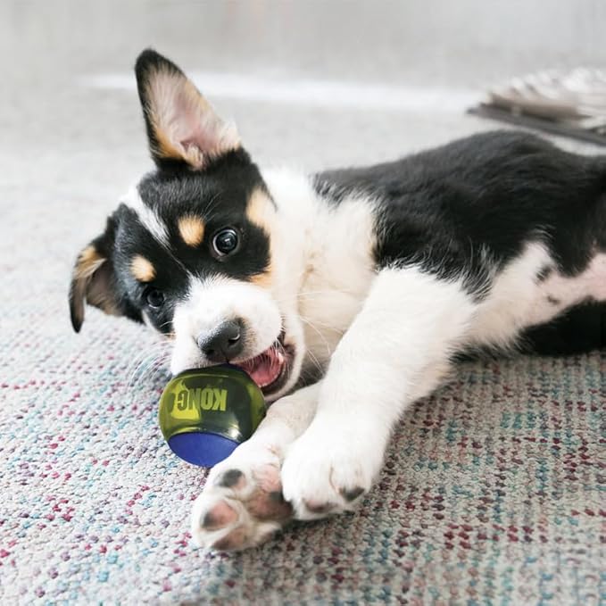 KONG Squeezz Action Ball Dog Toy – Durable Bouncy Ball with Built-in Squeaker – Great for Fetch & Chewers – Stimulates Play & Exercise (Blue, Medium (6 Pack))