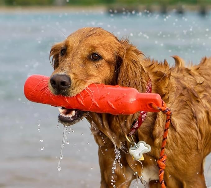 KONG Training Dummy Rope Bumper Dog Toy - Durable Floating Retriever for Fetch & Training - 2 Pack (Orange, Large)