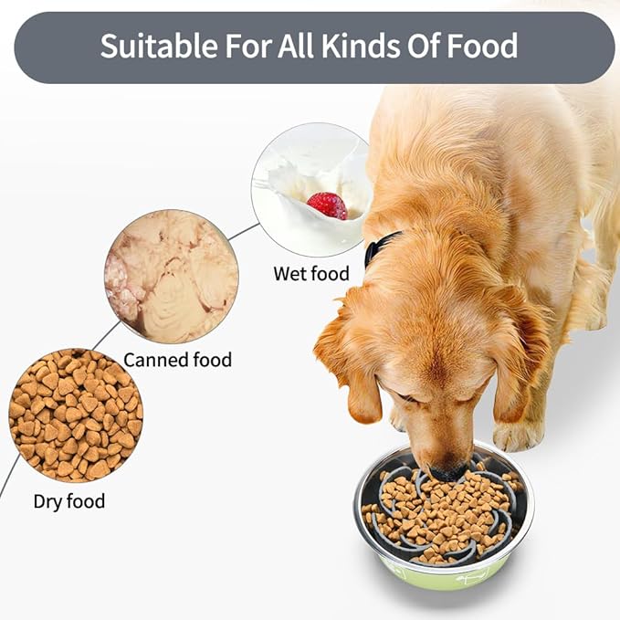 Slow Feeder Dog Bowls Insert,Third Generation upgradedSuper Firm Eating Bowl（Cuttable） for Large Breed and Medium Small Size Compatible with Regular Elevated Metal Glass Dog Bowl (Gray)