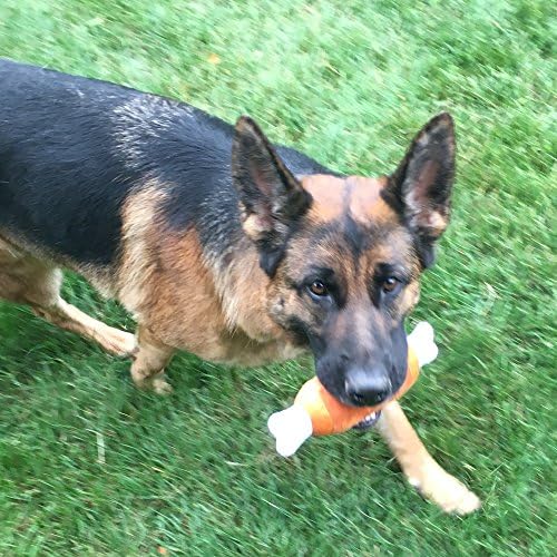 Jalousie 12 Pack Dog Squeaky Toys Cute Plush Toys for Small Medium Dog Pets - Image 5