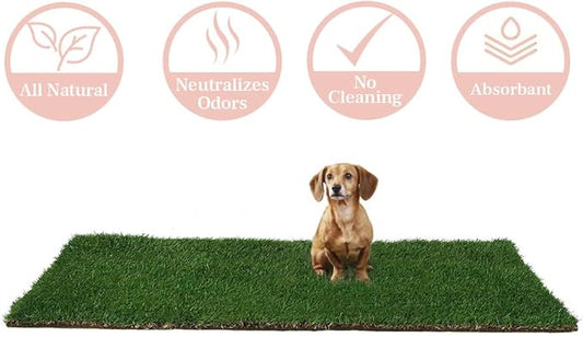 DoggieLawn Dog Potty - Real Grass - XLarge 24x48 inches