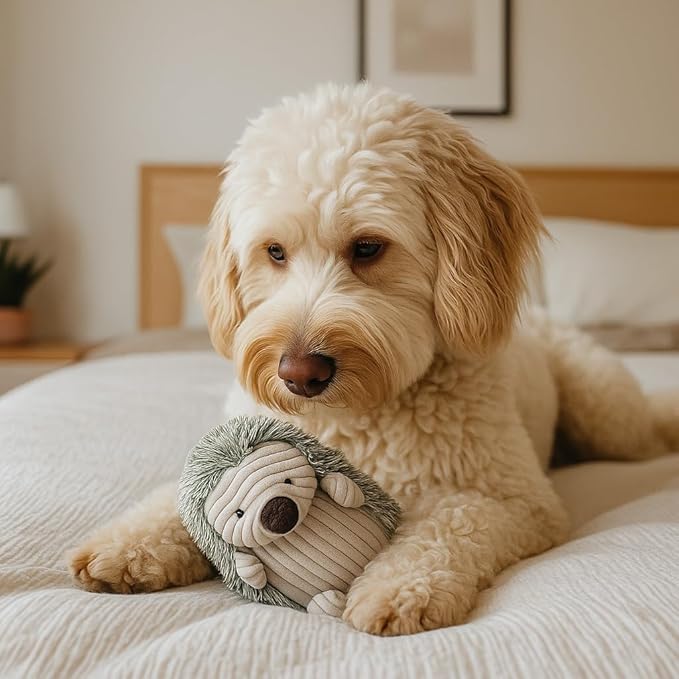 SPOT Corduroy Hedgehog Dog Toy with Squeaker, Textured Plush Toy for Small and Medium Dog Breeds, Light to Moderate Chewers, 8 Inch, Assorted Colors