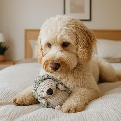 SPOT Corduroy Hedgehog Dog Toy with Squeaker, Textured Plush Toy for Small and Medium Dog Breeds, Light to Moderate Chewers, 8 Inch, Assorted Colors