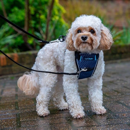 CarSafe Crash Tested Dog Safety Harness - Crash Tested to 32Kg/70lbs, Safely Secure Dog in The Car, Comfortable and Padded Design. for Toy, Small, Medium and Large Dogs (Size X-Small)