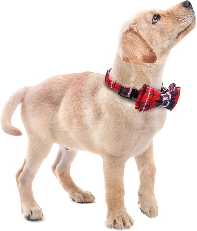 Faleela Soft &Comfy Bowtie Christmas Dog Collar,Detachable and Adjustable Bow Tie Collar,for Small Medium Large Pet (M, Red)
