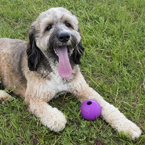 Chew King Fetch Balls Extremely Durable Natural Rubber Toy 4 inch, 2 Pack (CM-10031-CS01) - Image 6