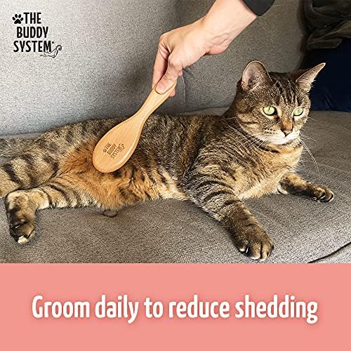 The Buddy System - Soft Cat Brush with Boar Bristles, 1 Pack - Image 4