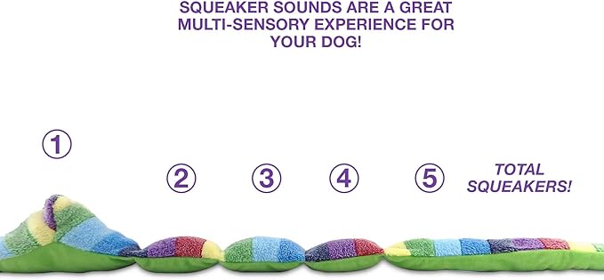 Bow Wow Pet Squeaky Snake Dog Toy - Tug, Fetch & Teasing Toy - 35 Inches
