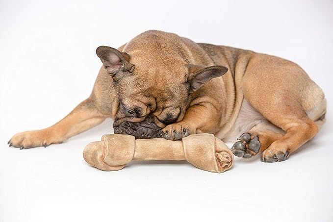 Pet Qwerks Nylon Rawhide BarkBone - Durable Dog Toys for Moderate & Aggressive Chewers - Infused Bacon Flavor - 9.75"