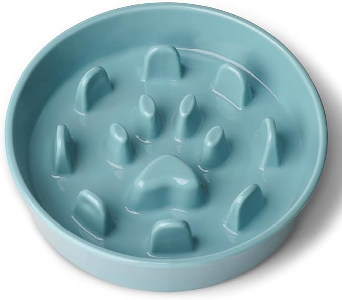 Ceramic 1.5 Cup Slow Feeder Dog Bowl, Slow Feeding Dish for Small & Medium Breeds to Slow Down Eating, Anti-Gulping, Preventing Choking (Turquoise)