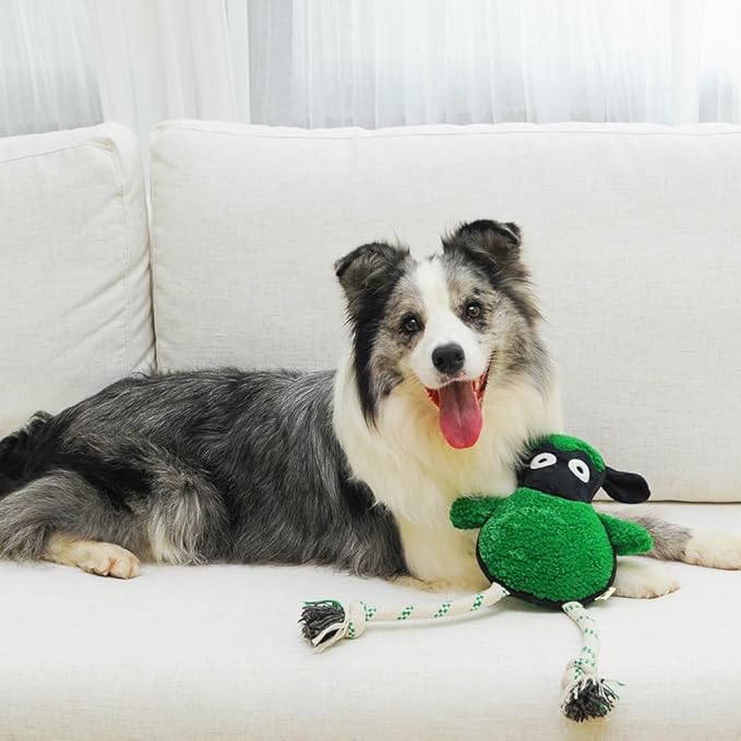 Green Sheep Rope Toy for Dogs, Durable Squeaky Dog Toys for Small Medium Large Dogs, Interactive Plush Fabric Chew Toy with PP Cotton & Recycle Cotton Rope, Tough Stuffed Animals to Keep Them Busy