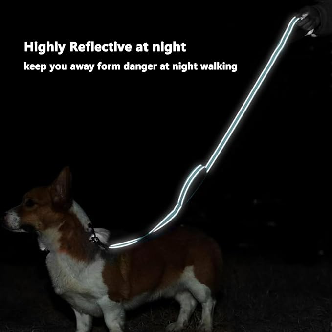 6 FT Dog Leash with 2 Padded Handle Nylon Reflective Dogs Leashes for Small Medium Large Dogs Sky Blue