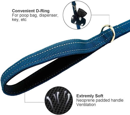 Heavy Duty 2 Padded Handle Dog Walking and Training Standard Leashes for Traffic Control,with Enlarged Tangle Free Buckle,D-Ring,Double-Sided Reflective Stitching,Double Layer Nylon,Blue 4Ft