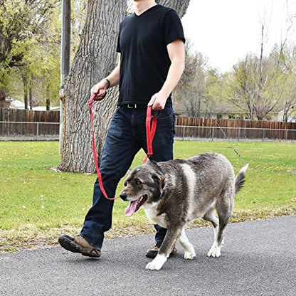 Wagtime Club Heavy Duty Double Handle Dog Leash for Large Medium Small Dogs - Image 6